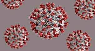 UK Coronavirus death toll surpasses 10,000 Photograph