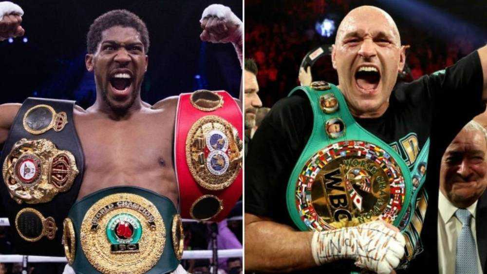 Anthony Joshua and Tyson Fury have agreed terms for a two-fight deal Photograph