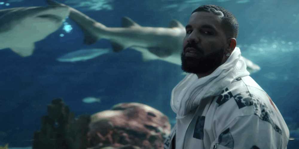 Drake flexes bars in new 'What's Next' visuals Photograph